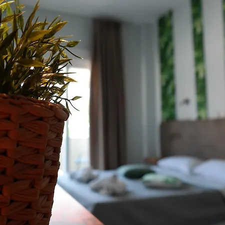 Hotel Discovery 3*